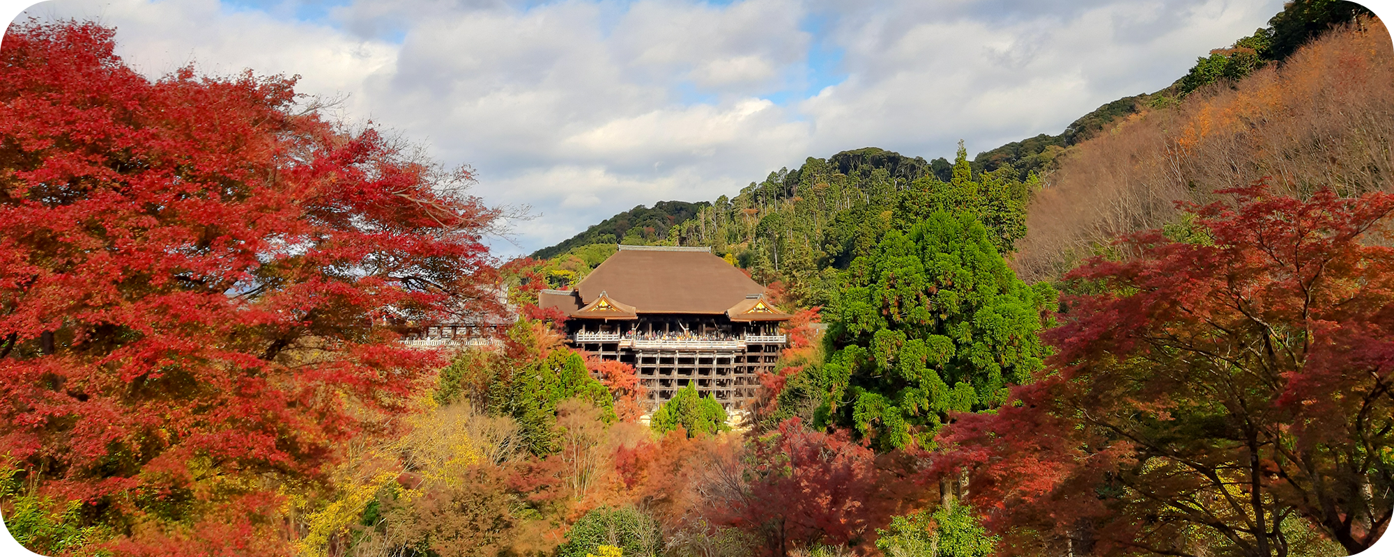 Read more about the article Autumn Colored Kiyoimzu Temple
